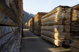 Klotzbretter - Lerchholz AG Grünenmatt