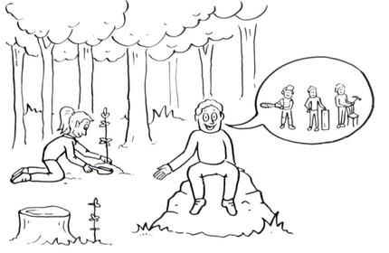 Video Schweizer Holz